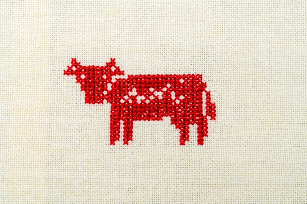 munt-pitschen-kuh-rot-low-res-03