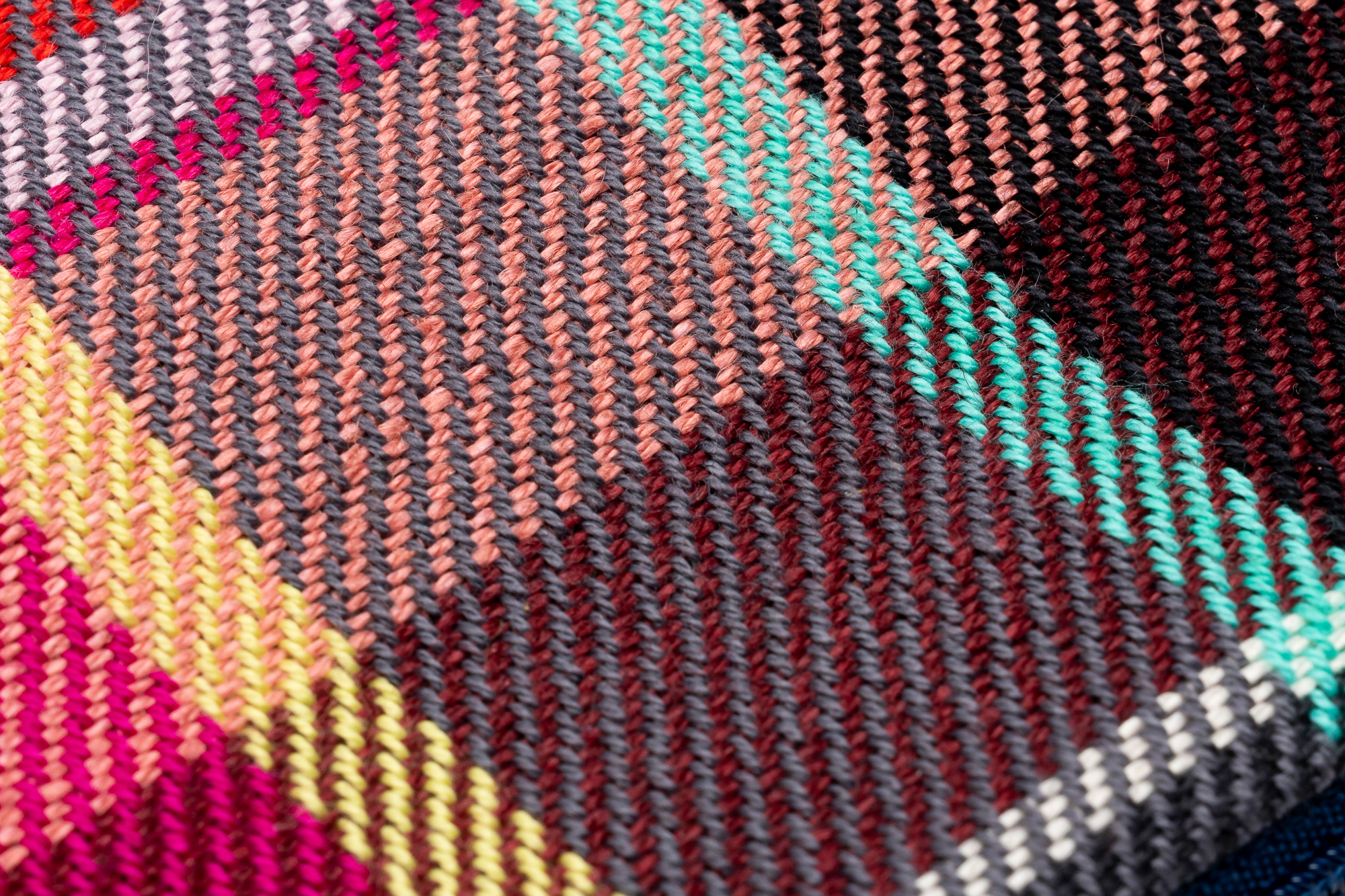 Rosa-Mini-Bellezza-Rot-Low-Res-06