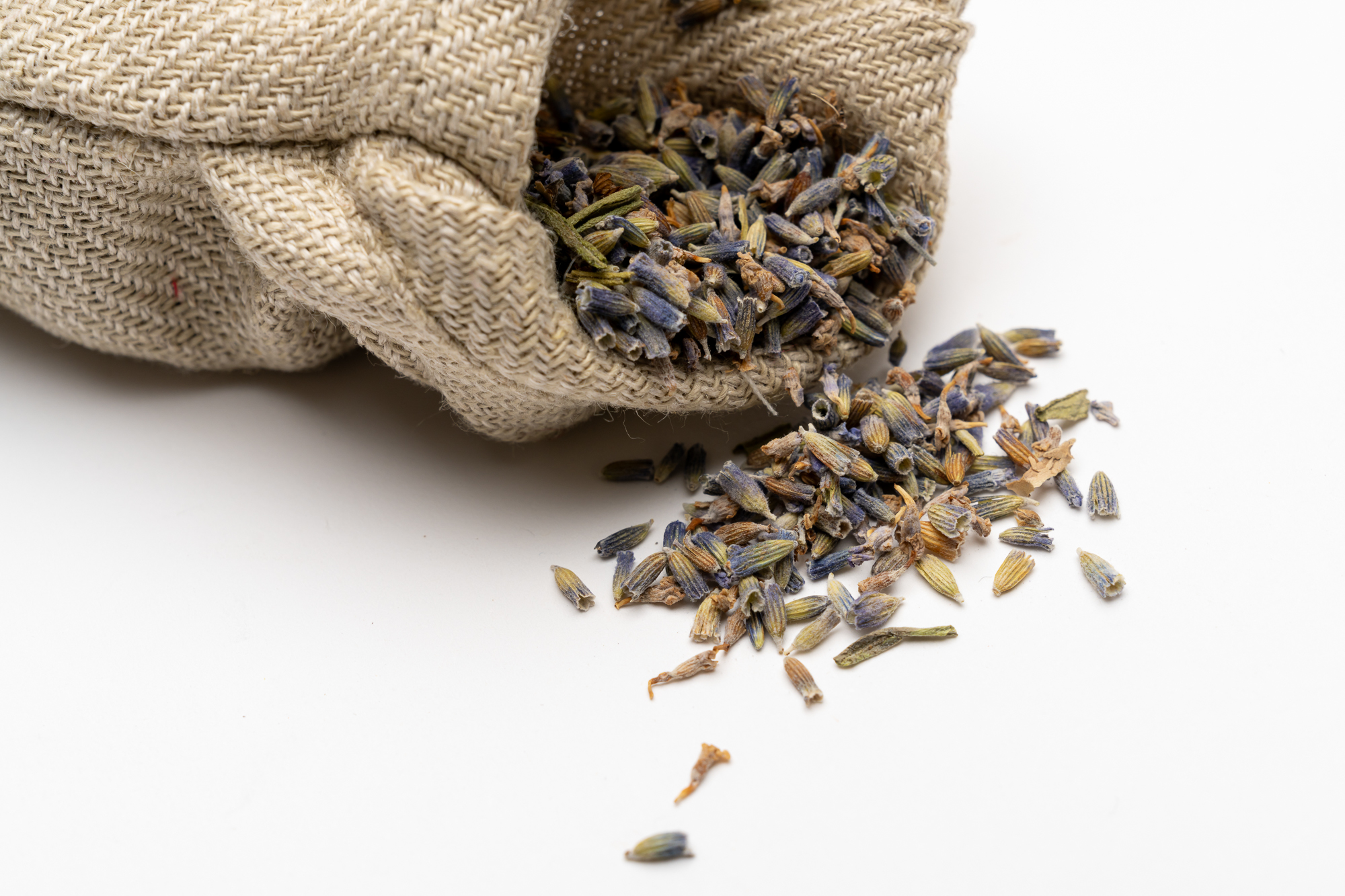 Lavendula-Tessanda-Low-Res-04