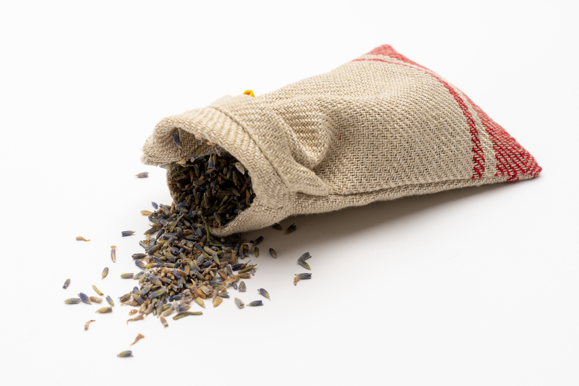 Lavendula-Tessanda-Low-Res-05